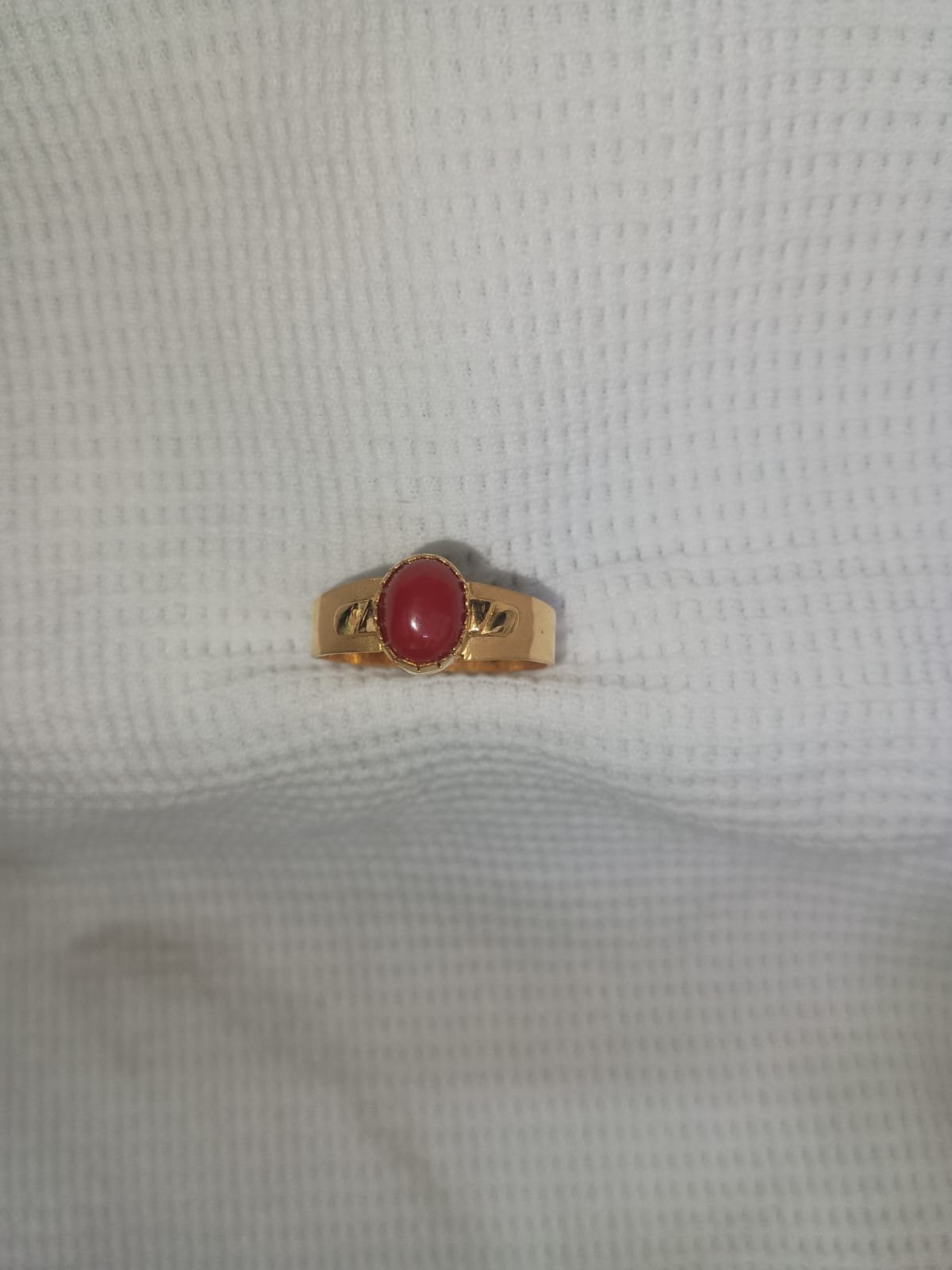 WhatsApp Image 2025-12-24 at 4.40.54 PM